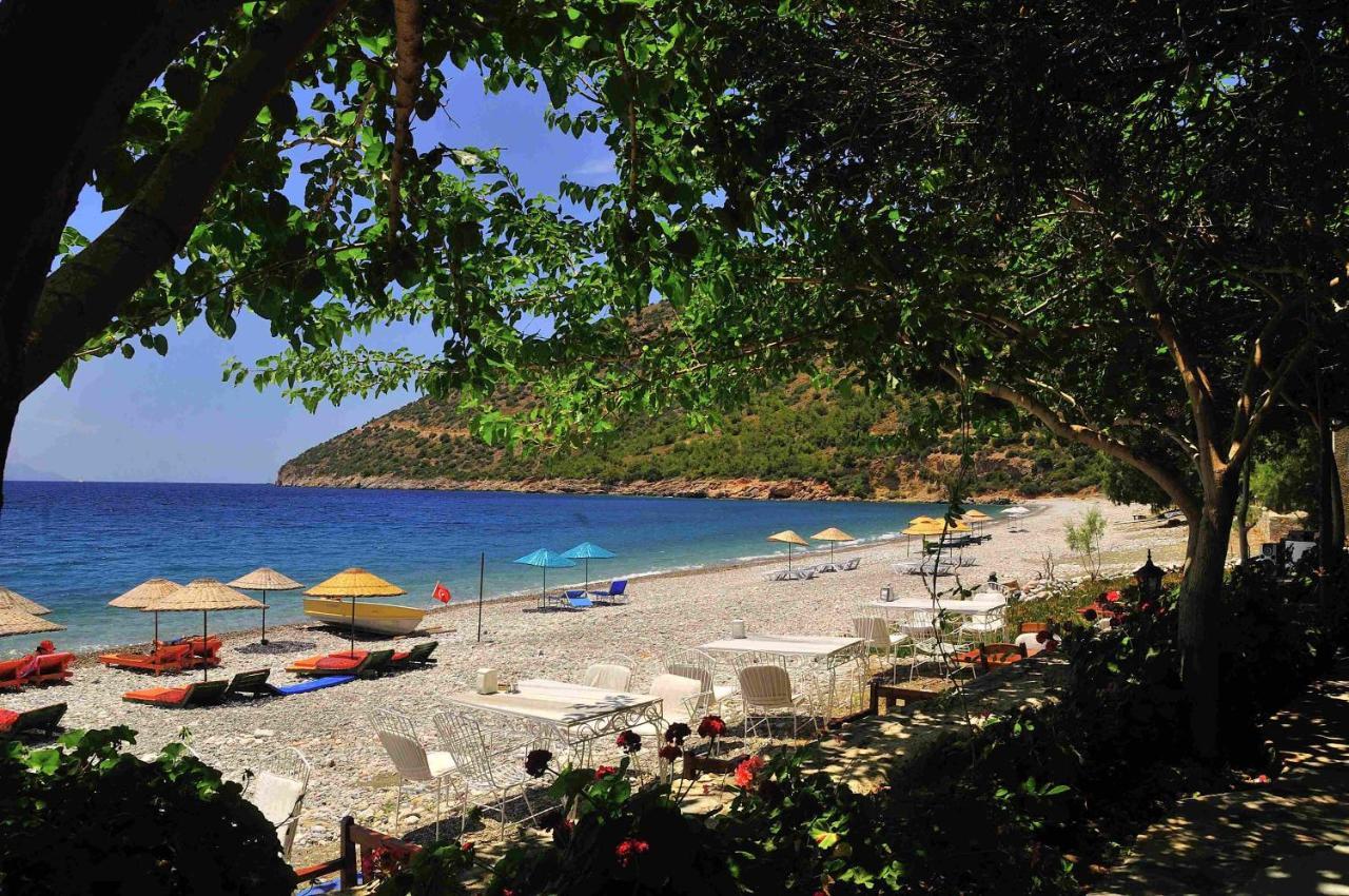 Melinda Pension & Restaurant Mesudiye  Luaran gambar