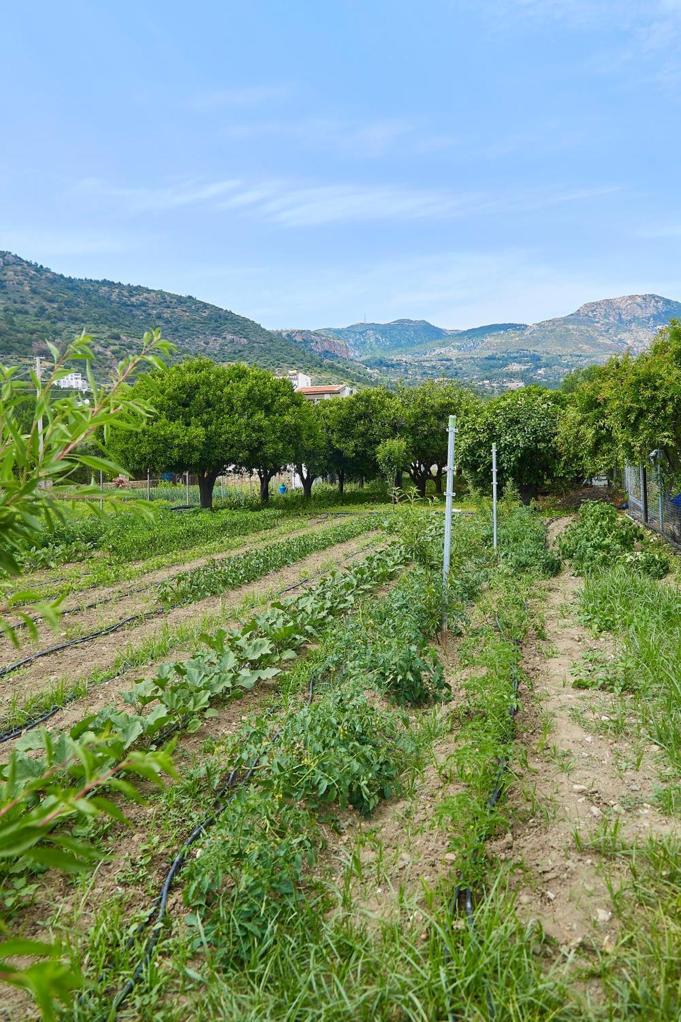 Melinda Pension & Restaurant Mesudiye  Luaran gambar